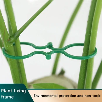Za večkratno uporabo Plastičnih Rastlin Posnetkov Podpira Povezuje Varstvo Cepljenje Določitvi Orodje za Vrtnarjenje materiala za Zelenjave, Paradižnika