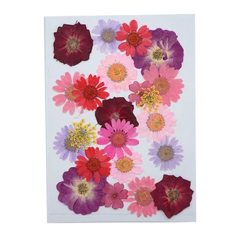Resnično Pritisnjen Posušeno Cvetje Listi za DIY Epoksi Smolo Nakit Umetnosti Obrti Zaznamek Mešani bloemen Kartico Dekoracijo