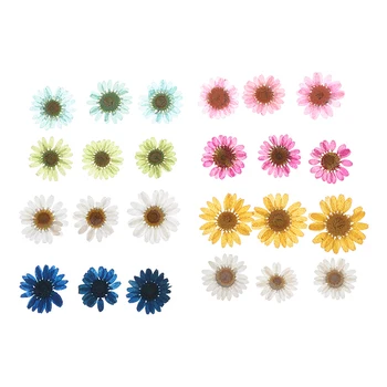 12pcs Stisnjeni Naravni Dekorativni Posušen Cvet Material Umetno Posušeno Cvetje DIY Nakit, Izdelava Primeru Telefon Pribor