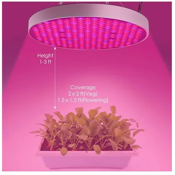 50 W NLP LED grow Light šotor polje komplet Ffs Lučka Celoten Spekter Raste Za uporabo v zaprtih prostorih Toplogrednih cvet fitolamp rastlin lučka Hydro
