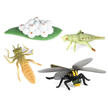 Novo Simulacija Živali, Žuželk, Dragonfly Ciklus Rasti Figuric Model Izobraževalne Kognitivne Zbirka Srčkan Otroci Igrače Darila