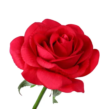 Novi Cvet Rdeče Vrtnice V Stekleno Kupolo Leseno Osnovo LED Rose Svetilke Dom Dekoracija dodatna Oprema Umetne Rože valentinovo Darilo