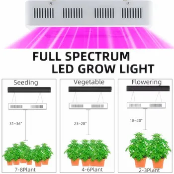 Najboljši Qkwin 800W Led grow light 80x10W visoko moč dvojna čip led hydroponics razsvetljave celoten spekter