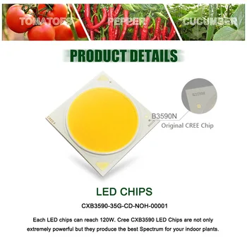 CREE CXB3590 200W COB LED Grow Light Celoten Spekter Zatemniti 26000LM = 400W HPS Raste Lučka za Notranjo Rast Rastlin, Plošča za Razsvetljavo