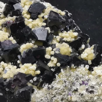 563gNatural vijolično fluorite mica, povezanih gruč mineralnih vzorcu ZDRAVILNIMI KRISTALI KREMENA GEM