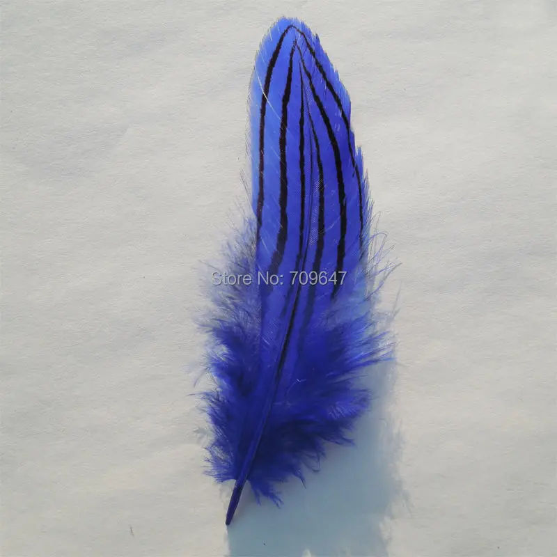 100 kozarcev/veliko!7-10 cm dolgo, Royal modra/mornarsko modra Srebrna fazan perje za plovila/millinery/nakit/fascinators
