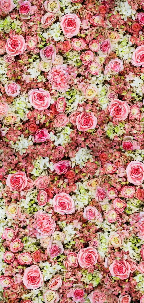 5x7ft Pink Rose Cvetlični Cvetje Brezhibno Stroj Enem Kosu Brez Gubam, Transparente, Foto Studio Ozadje Ozadje Poliester Tkanine