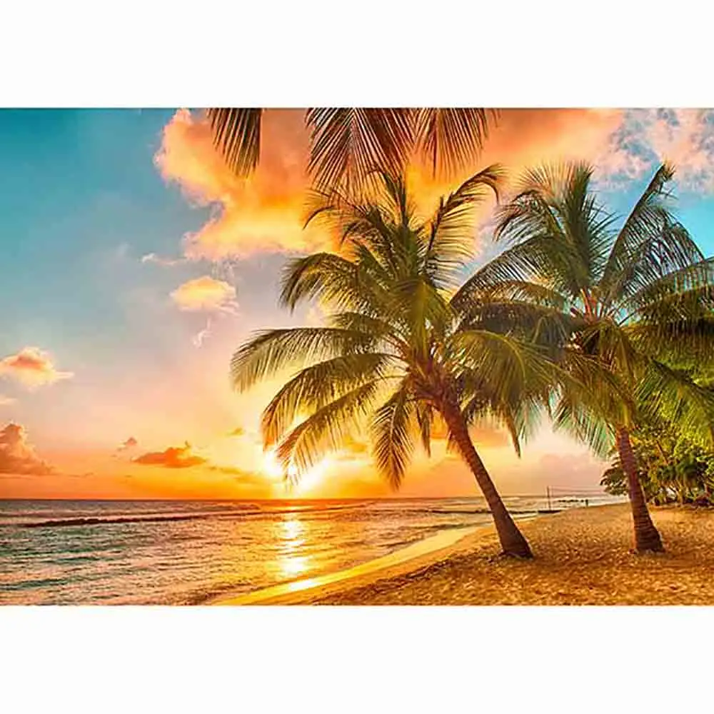Funnytree ozadje za fotografiranje foto studio plaža, morje, sončni zahod kokosovo drevo pokrajino v ozadju poletje photocall ozadje