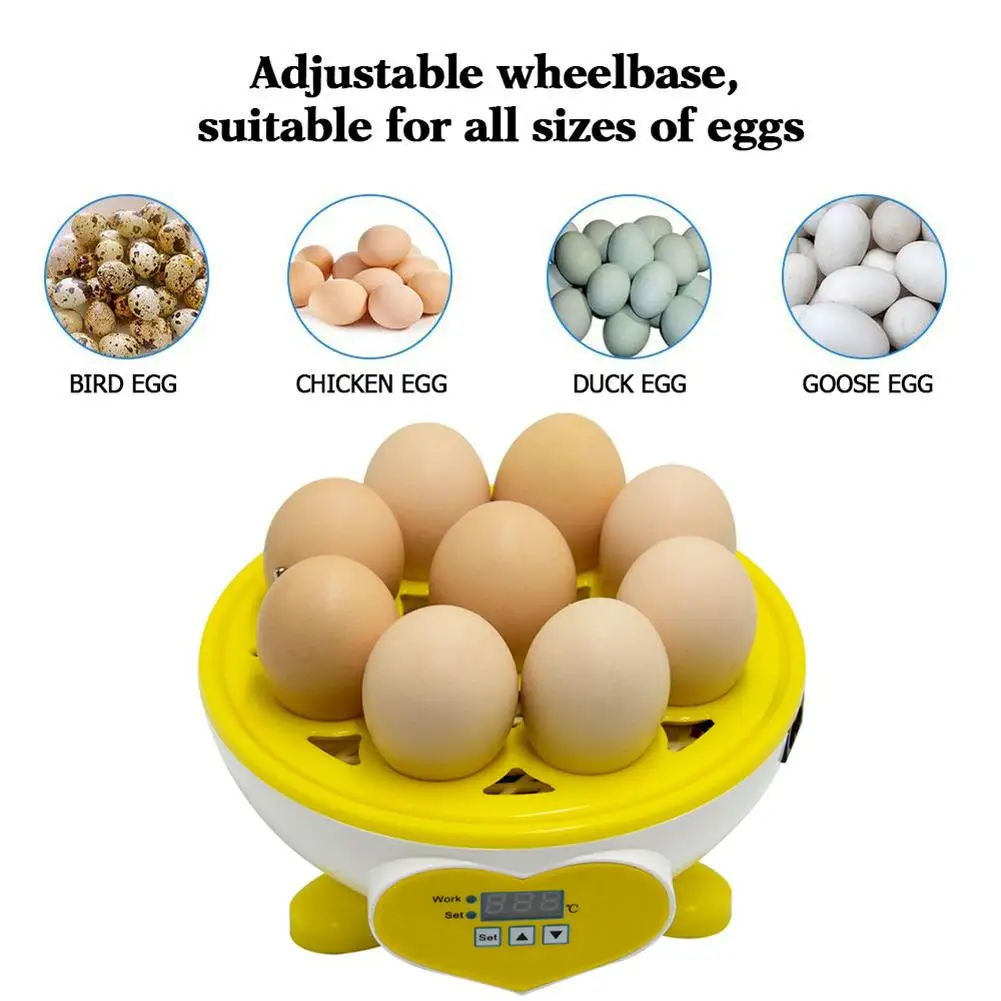 Samodejno Jajce Inkubator 9 Jajc, Perutnine Hatcher Z Smart Digitalni Nadzor Temperature Valilnica Inkubacije Naprave Za Ptice