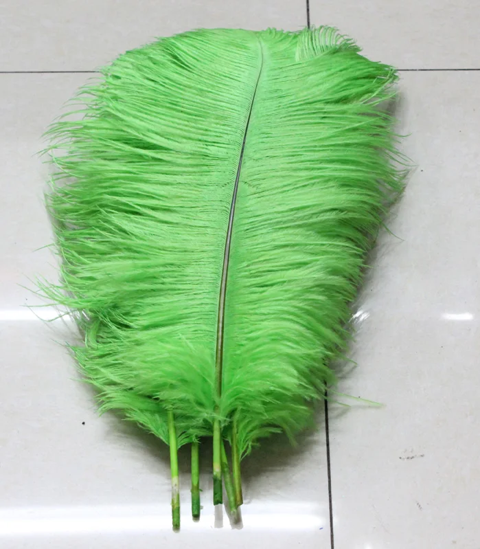 10 kos natural royal green nesreča perje 30 do 35 cm / 12 do 14 centimetrov, kraljevsko modra pero nesreča perje poroko plume
