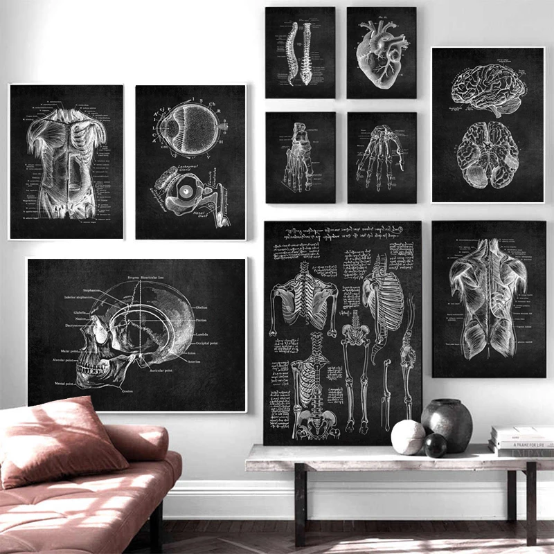 Moderno Človeško Anatomijo Umetnine Medicinske Stenskih slikah, Mišice, Okostje, Izobraževanje Plakat Platno Slikarstvo za Office Home Dekor
