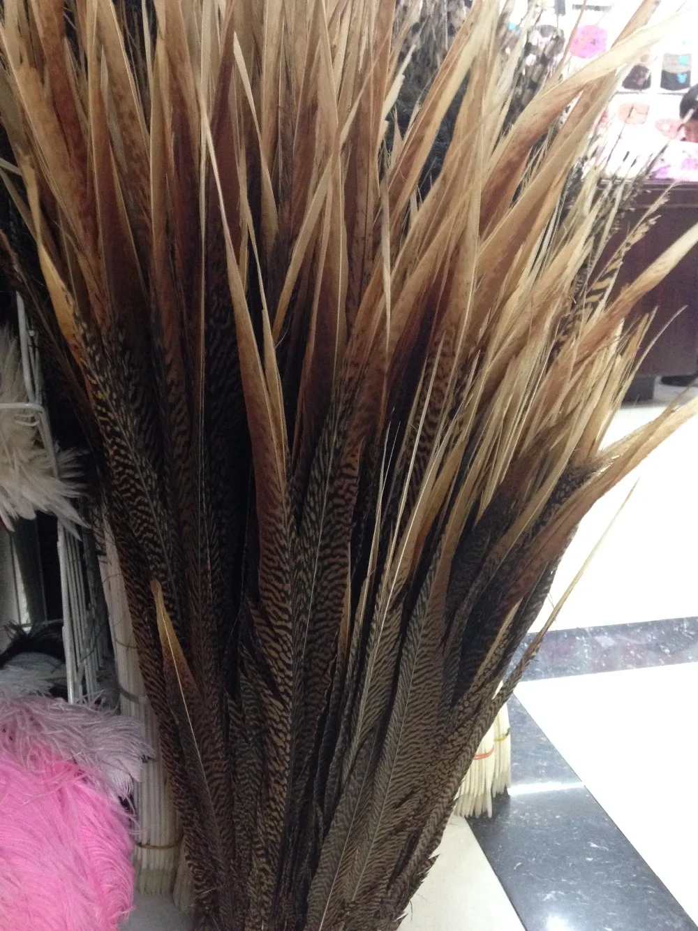50-55 cm/20-22-palčni naravnih fazan pero fazan repnega perja, indijanci headdress doma hotel vaza dekoracijo fazi DIY design