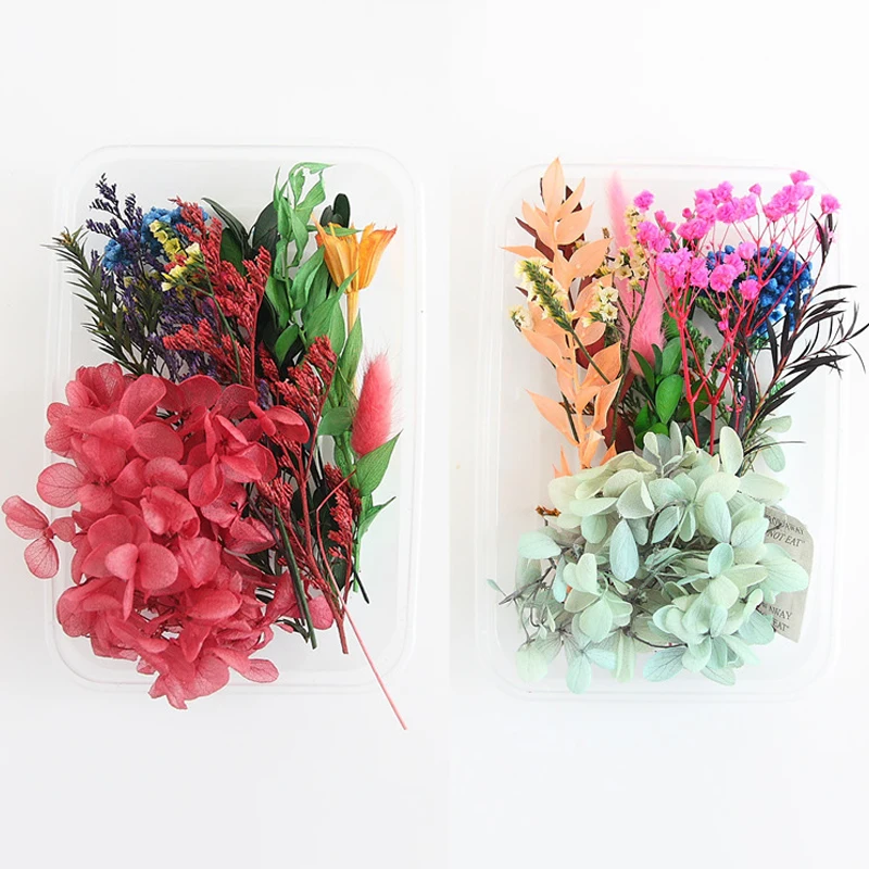 Pravi Posušeno Cvetje Listje Set za DIY Obrti Umetnost Mešane Več Suh Cvet za Svečo Smolo Nakit Obesek H88F