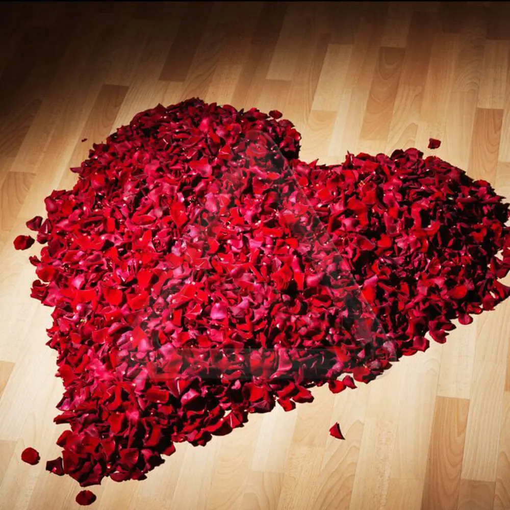 1000pcs/veliko Svile Rose Cvet Latica Konfeti Posla Umetni Cvetovi Praznovanje Poročni Dekoracijo