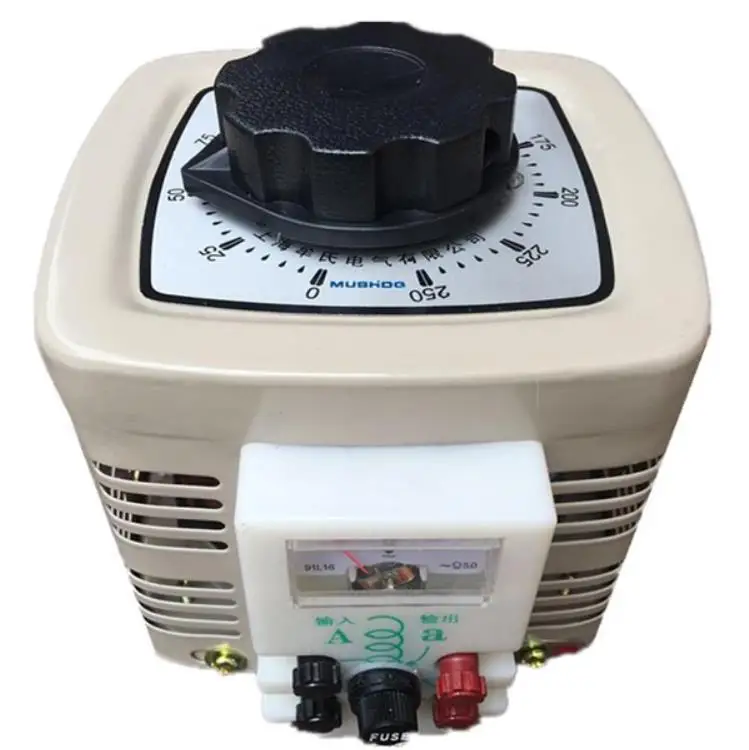 500W Gospodinjski enofazni Napetosti Regulatorjev 0-250V je nastavljiv Transformator