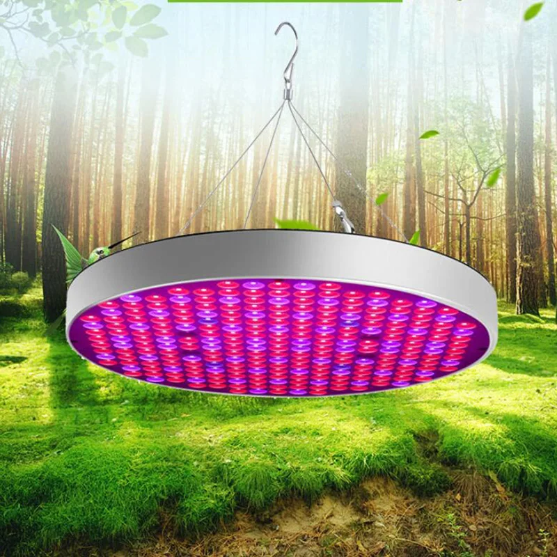 50 W NLP LED grow Light šotor polje komplet Ffs Lučka Celoten Spekter Raste Za uporabo v zaprtih prostorih Toplogrednih cvet fitolamp rastlin lučka Hydro
