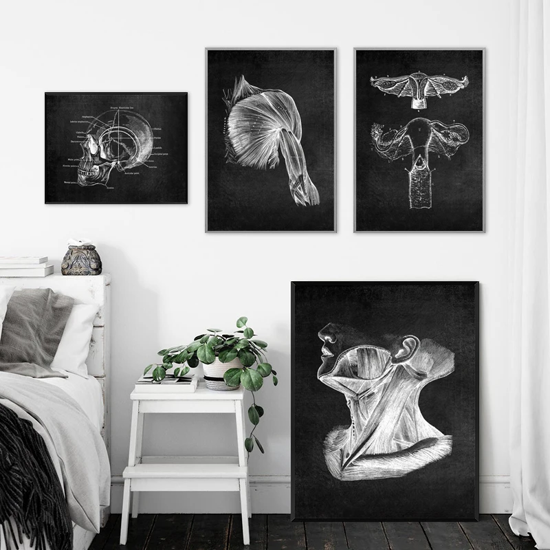 Moderno Človeško Anatomijo Umetnine Medicinske Stenskih slikah, Mišice, Okostje, Izobraževanje Plakat Platno Slikarstvo za Office Home Dekor