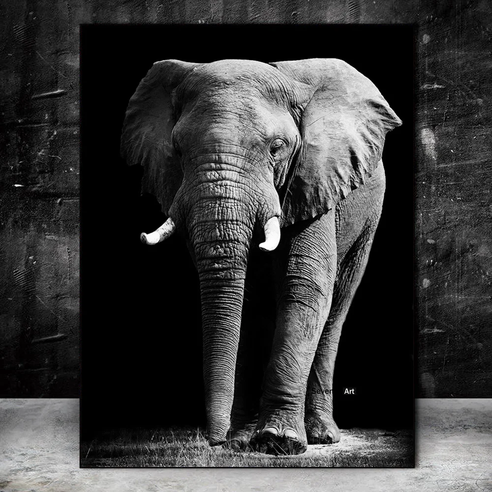 Afriški Slon Sliko Wall Art Slike Črno-Bele Živali Steno Plakatov In Fotografij Stenske Slike Za Dnevno Sobo Cuadros