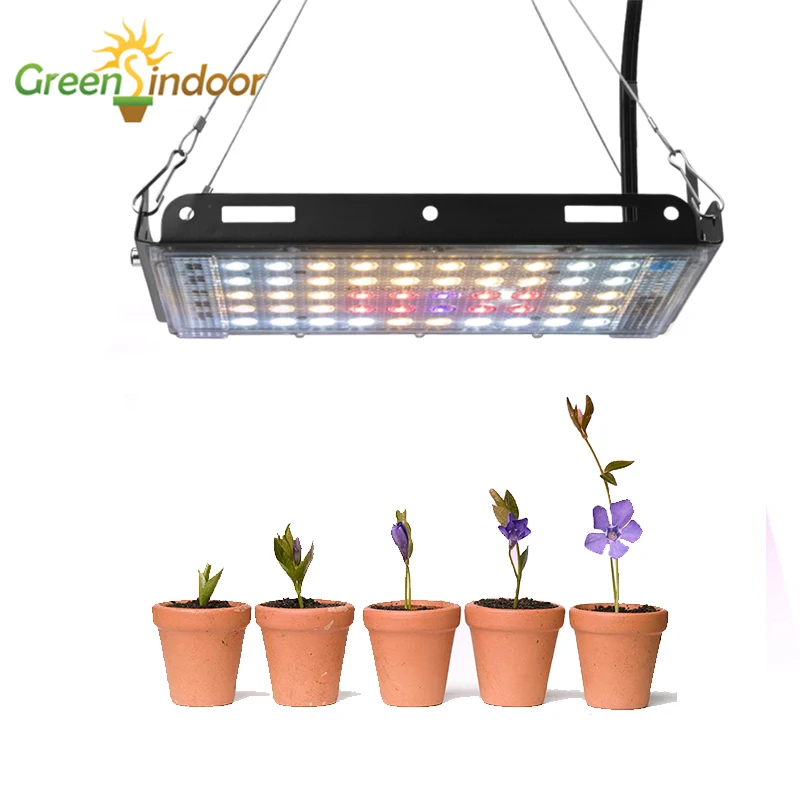 V zaprtih prostorih Led Grow Light Za Rastline 800W Celoten Spekter Raste Svetilka UV, IR Led lučke Za Notranjo Rast Ffs Lučka Za Rast Cvetenja