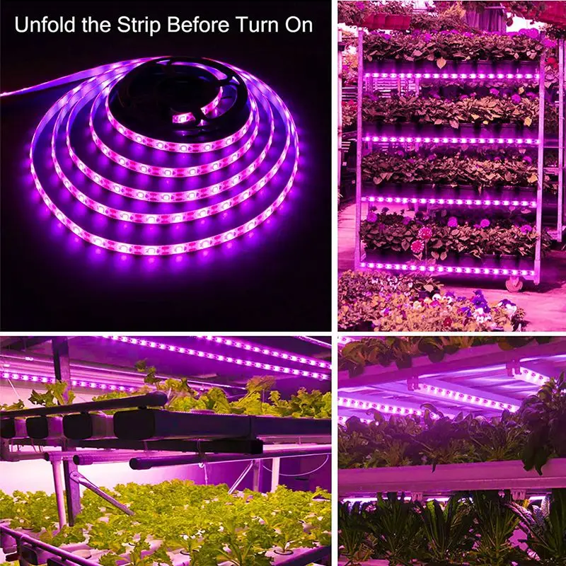 LED Grow Light Celoten Spekter USB Rastejo Svetlobni Trakovi 0,5 m 1m 2m 3m 2835 SMD 5 LED Ffs Trak za Semena Rastline, Cvetje v Rastlinjakih