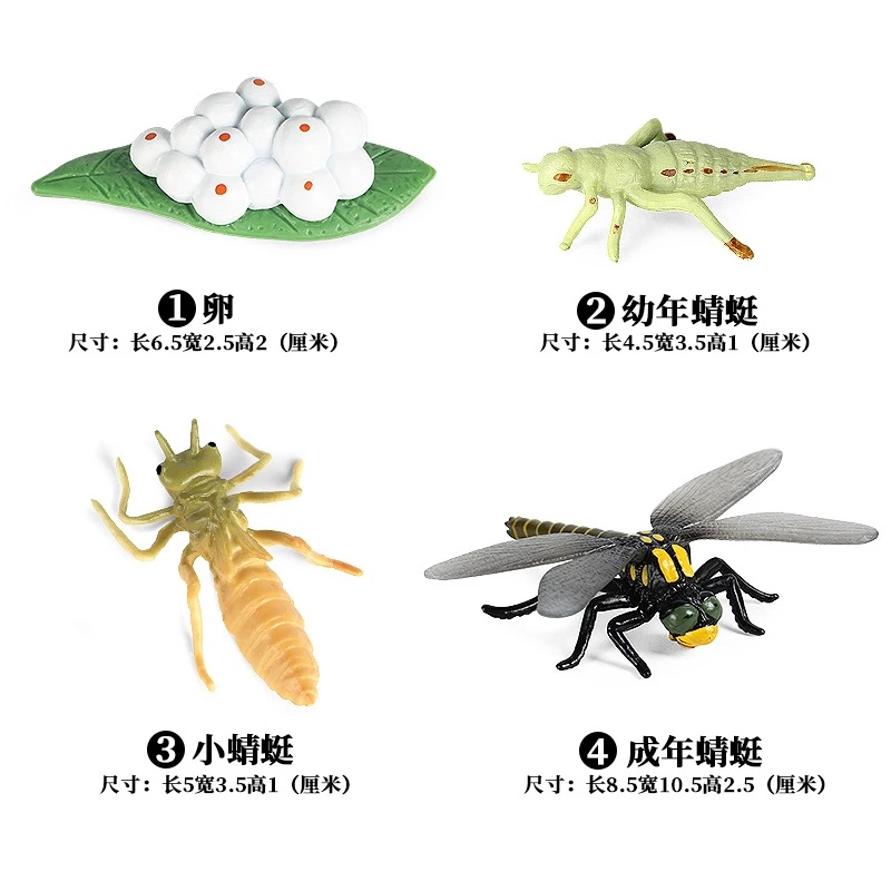 Novo Simulacija Živali, Žuželk, Dragonfly Ciklus Rasti Figuric Model Izobraževalne Kognitivne Zbirka Srčkan Otroci Igrače Darila