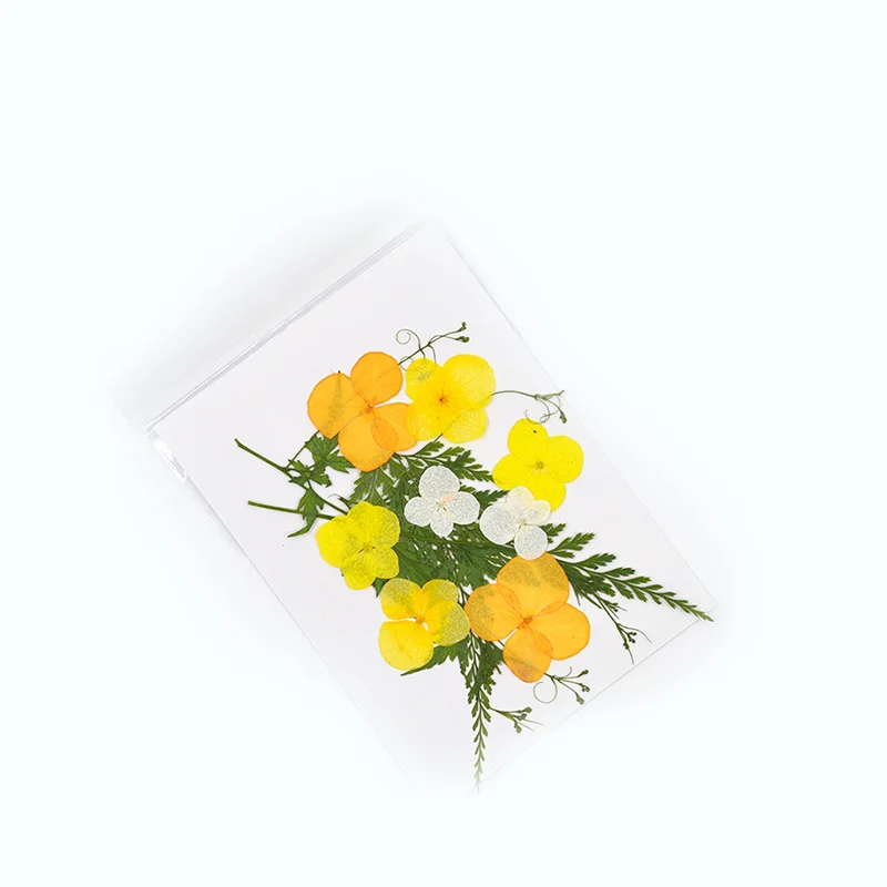 Cvet Vabilo Mešanih Suhih herbarij DIY Roko Pritisnil Cvetje Naravno Sušenega Cvetja