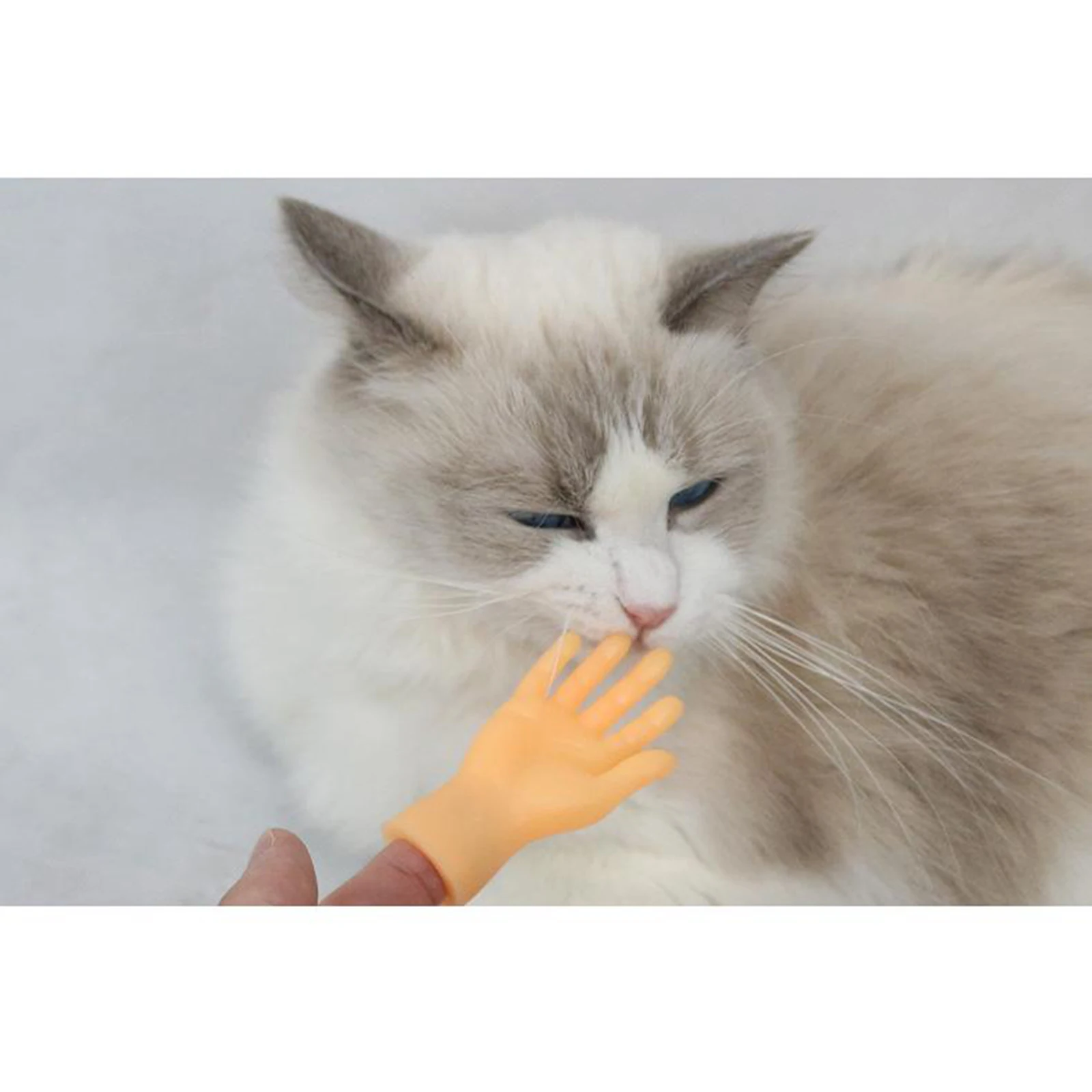 Mini Majhen Malo Malo Prst Roke Smešno Šalo Pes, Mačka Božal