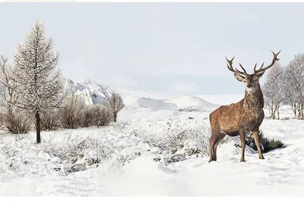 Bacaz 3D Stenske Nalepke so Ročno naslikana Žival Sika jelena Umetnosti Steno stensko za dnevno Sobo 8d Pozimi sneg fotografijo za Ozadje stene Dekor