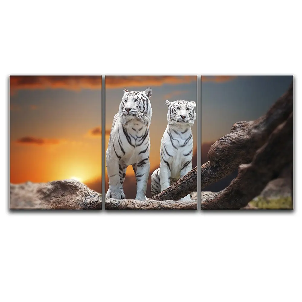 3 Plošča Platno Wall Art - Dve Beli Tigri, ob sončnem zahodu Čas, Tisk na Platno, ki je Pripravljen, da Visi Padec ladijskega prometa