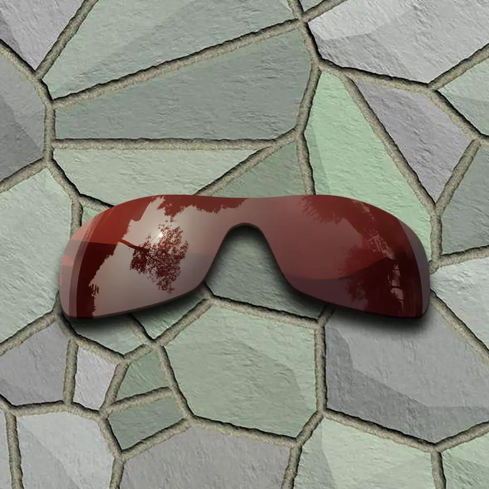 Bron Baker&Bronasto Rjavo Polarizirana sončna Očala Zamenjava Leč za Oakley Antix
