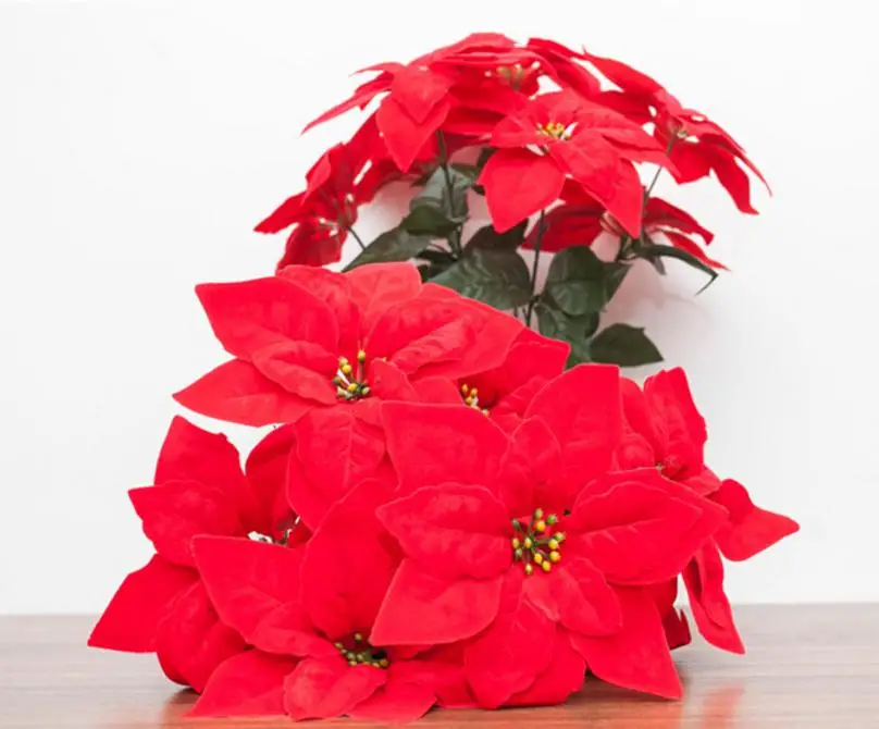 Dekorativne Rože Poinsettia cvet, Božič, žafranike, umetne rože, lončnica, dekoracijo, cvet design