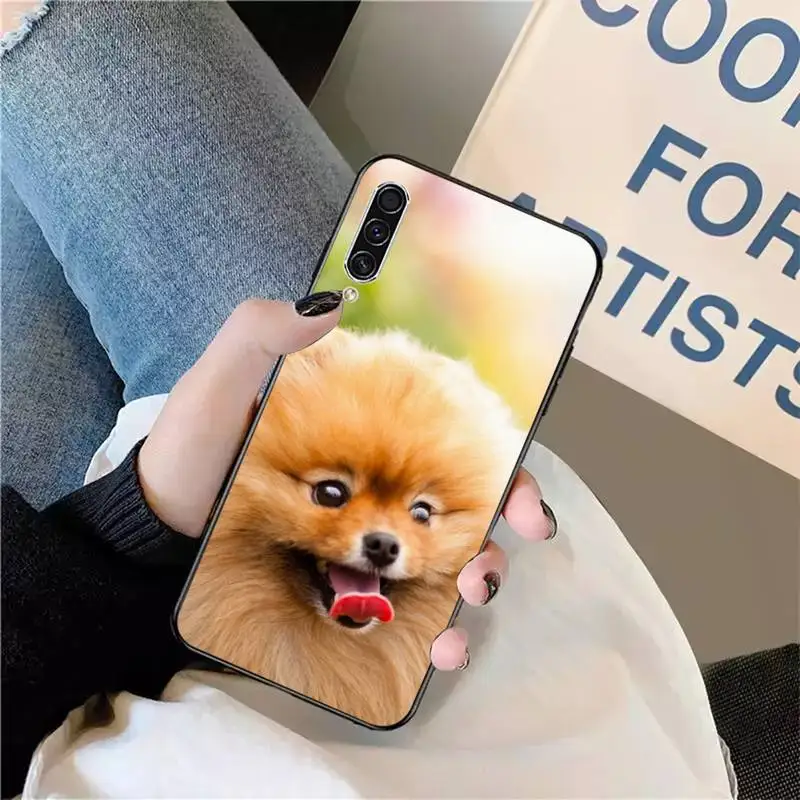Pomorjansko ljubek pes živali Primeru Telefon Za Samsung galaxy S 9 10 20 10 21 30 31 40 50 51 71 s upoštevajte, 20 j 4 2018 plus