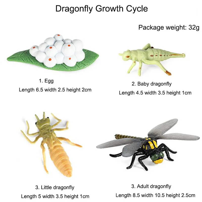 Otrok Znanost, Izobraževanje Igrače Simulacije Dragonfly Živali Ciklus Rasti Namizno Dekoracijo Otroci, Učenje Darila