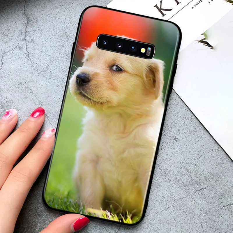Silikonski lupini Srčkan Zlati Prinašalec pes za Samsung Galaxy Note 10 PLus 9 8 S10 5G S9 S8 S7 Plus Rob Primeru Telefon