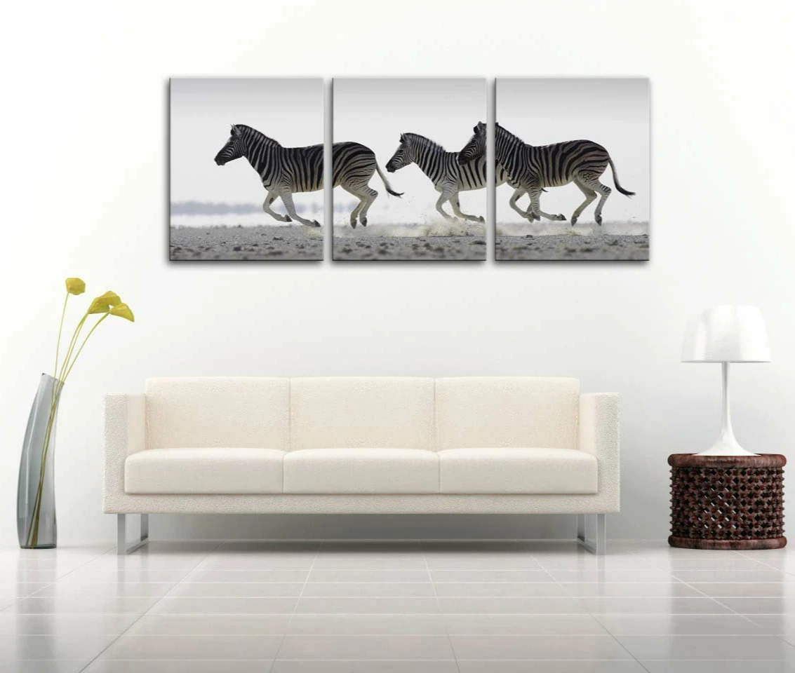 Platno, Tisk Steno Umetnosti Slikarstva Tropskih Teče Zebra Črno In Belo Južna Afrika 3 Plošča Sodobne Umetnine, Slike Živali Fotografijo