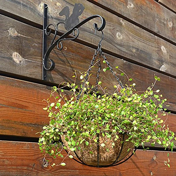 Viseče Košare za Rastline na Vrtu Cvet Planter z Verigo Rastlin Pot Domov Balkon Dekoracijo 2 kos-8 inch