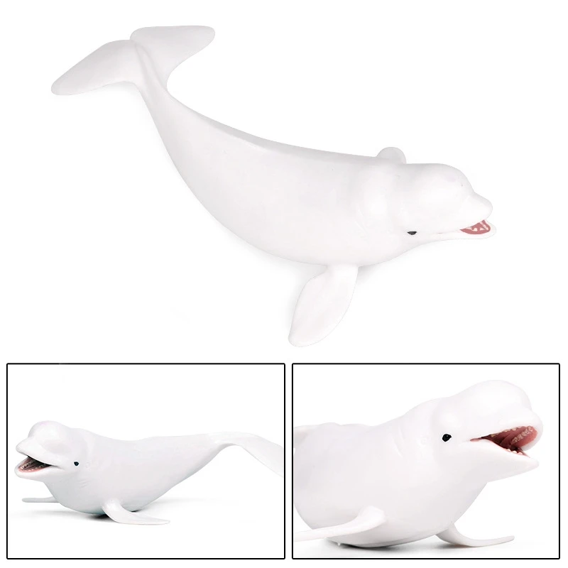 Morje Življenja Živali Beluga Model Pvc Figurice Simulacijskih Modelov Igrače