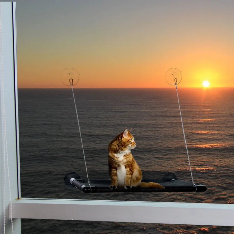 Mačka Okno Ostriž Posteljo Multi Mačka Okno Sončni Sedež Sesalna Skodelice Prihranek Prostora