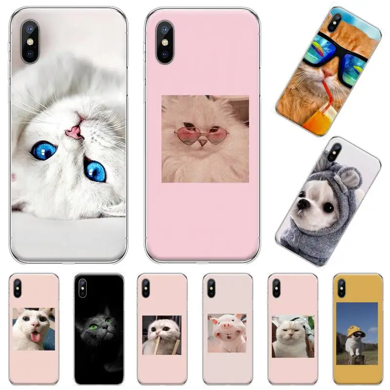 Super Lep srčkan mačke fotografije funda coque mobilni Telefon, Ohišje za iPhone 11 12 pro XS MAX 8 7 6 6S Plus X 5S SE 2020 XR