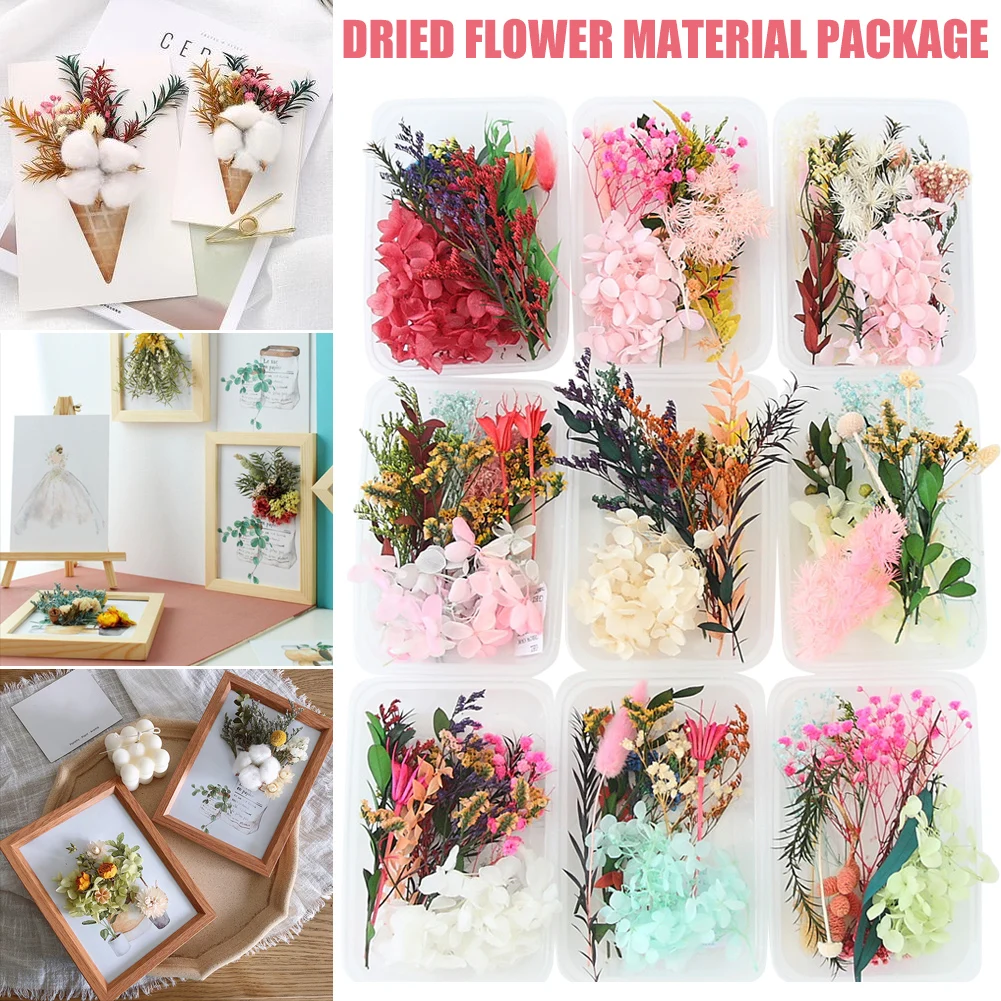Pravi Posušeno Cvetje Listje Set za DIY Obrti Umetnost Mešane Več Suh Cvet za Svečo Smolo Nakit Obesek H88F