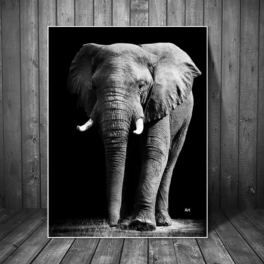Afriški Slon Sliko Wall Art Slike Črno-Bele Živali Steno Plakatov In Fotografij Stenske Slike Za Dnevno Sobo Cuadros
