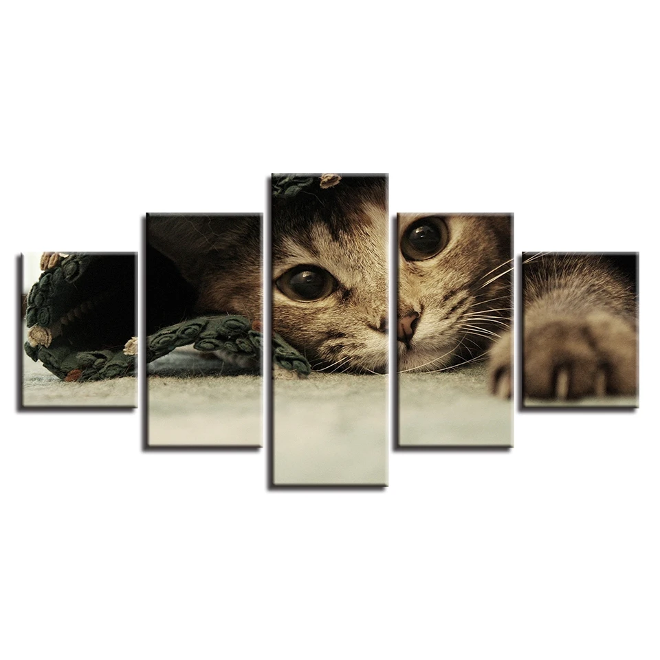 Živali Slike, HD Tisk Na Platno 5 Kosov Srčkan Mačke Slike Dekor Domači Dnevni Sobi Ali Spalnici Wall Art Okviru Modularnega