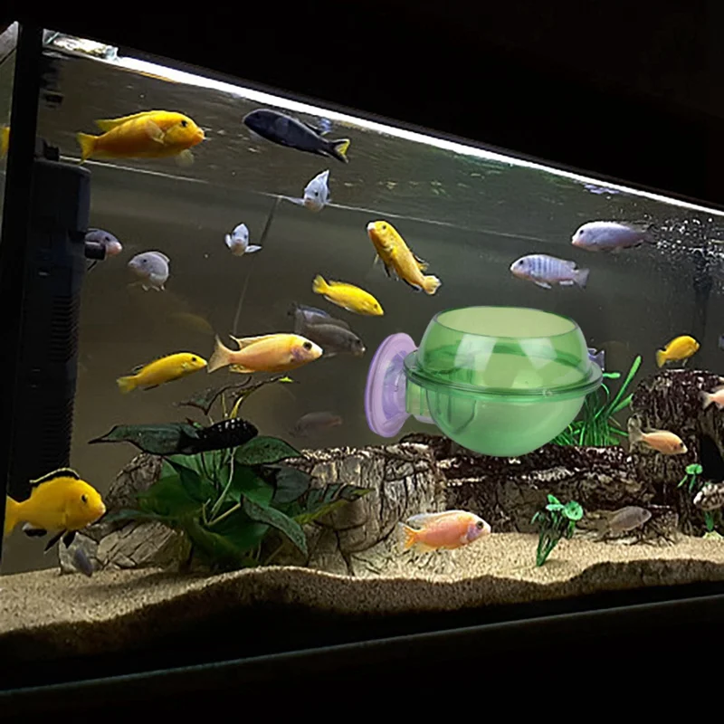 Voda Rastline, Pokrajine Lončki, Skodelice Mini Rdeče Kozice Aquarium Fish Tank Kristalno Zeleno Steklo Pot Rastlin Držalo