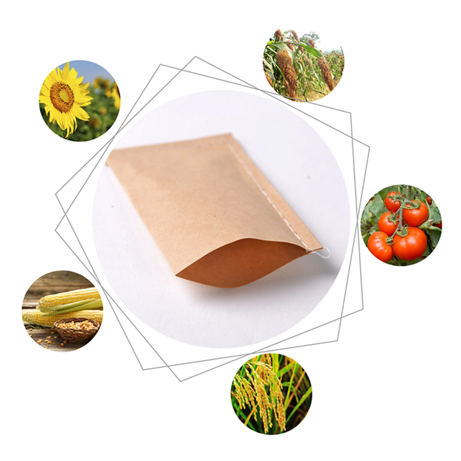 Kraft Papir za Vreče 100 Kosov Semen Paketi Wildflower Pogodbenice Prednost 10*17 cm hranjenje Semen 6*10 cm 12*20 cm Poljščin Vrečo za Shranjevanje